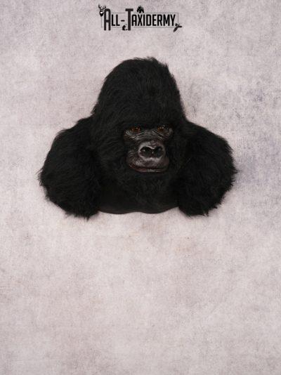 Reproduction Gorilla SKU 3473