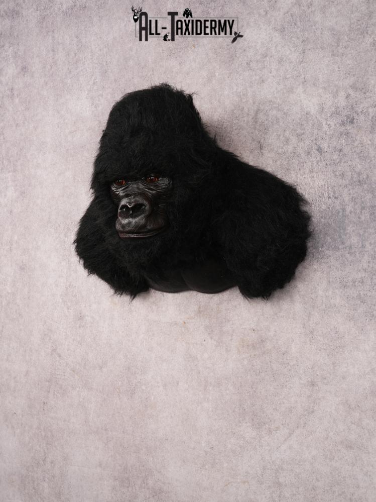 Reproduction Gorilla SKU 3473 - Image 8