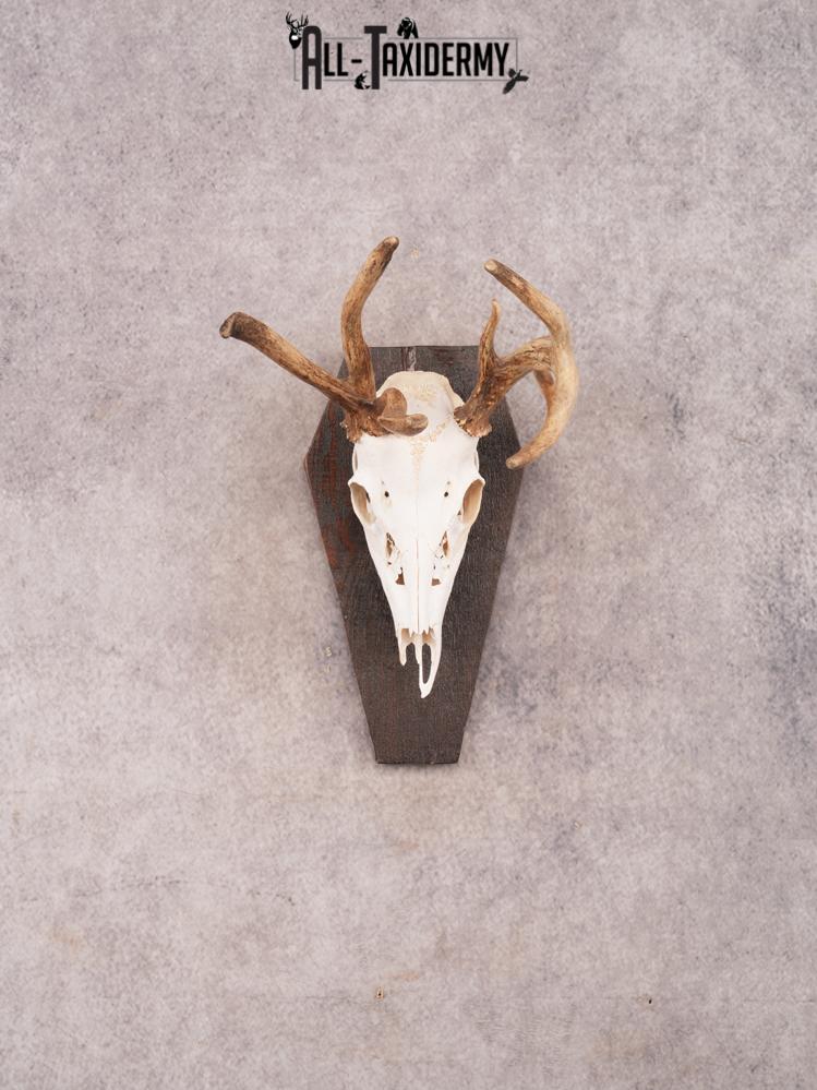 Whitetail Skull on Plaque SKU 3325