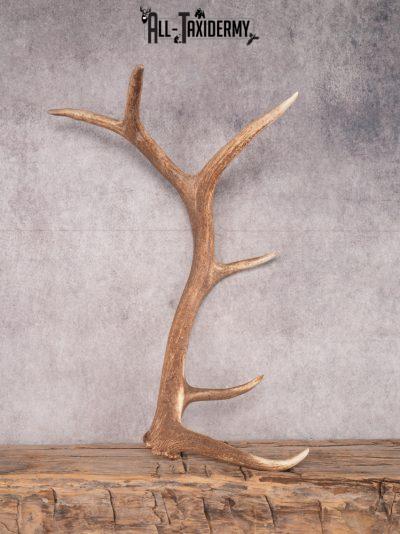 SKU 3413 6 Point Left Shed