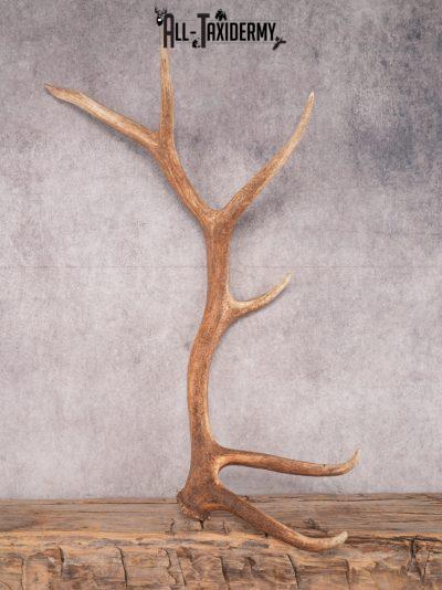 SKU 3414 6 Point Left Shed