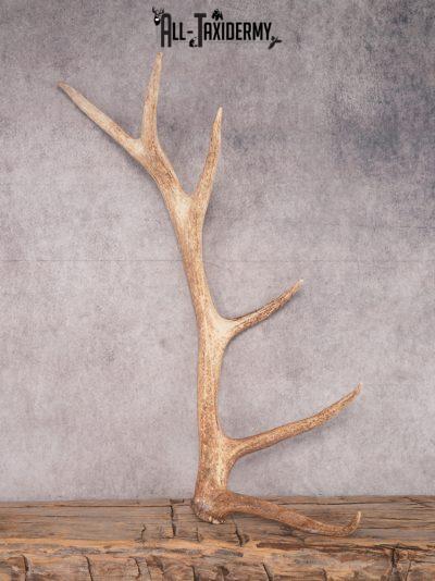 SKU 3412 6 Point Left Shed Left