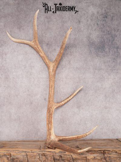SKU 3416 6 Point Left Shed