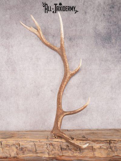 SKU 3415 6 Point Left Shed