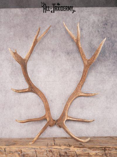 SKU 3418 Matching Elk Sheds 6x6