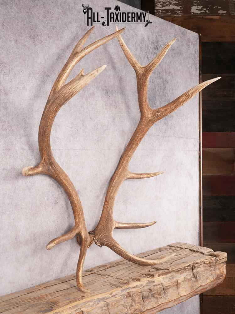 SKU 3418 Matching Elk Sheds 6x6 - Image 6