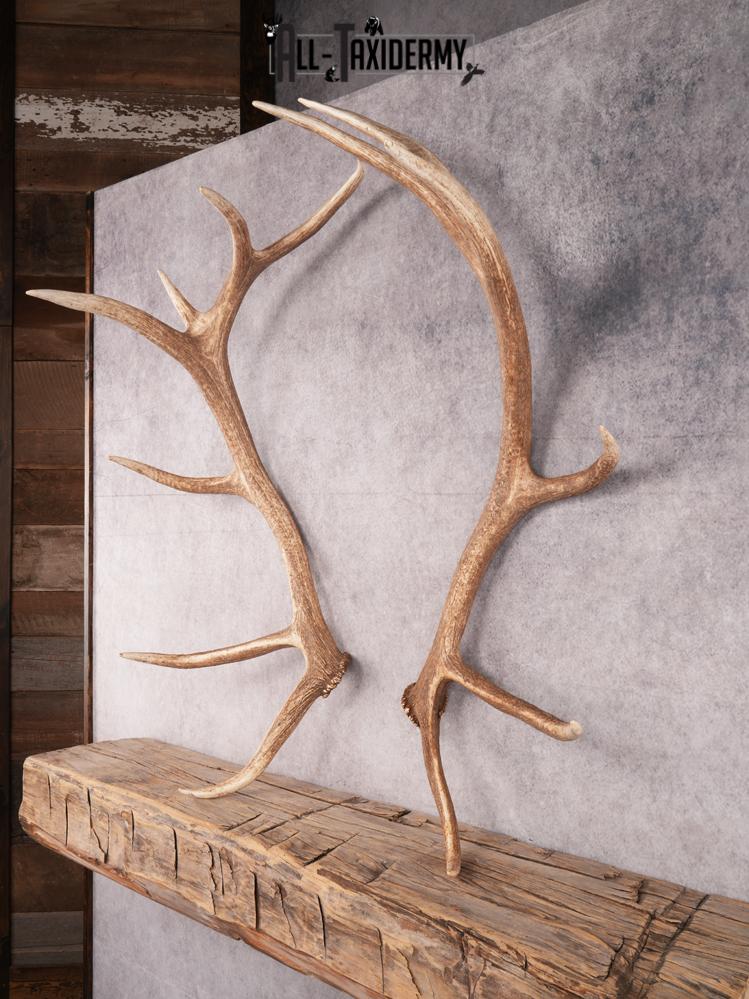 SKU 3419 Matching Elk Sheds 6x7 - Image 8