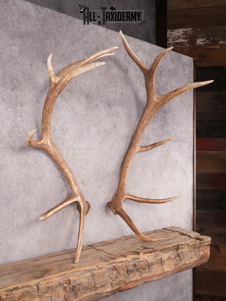 SKU 3419 Matching Elk Sheds 6x7 - Image 7