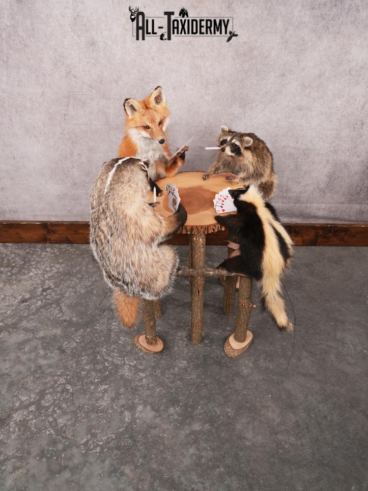 4 Animals Playing Poker SKU 3438 - Image 14