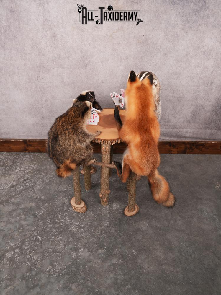 4 Animals Playing Poker SKU 3438 - Image 12