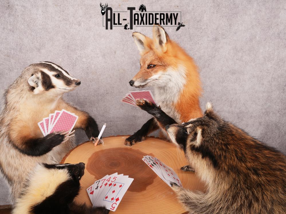 4 Animals Playing Poker SKU 3438 - Image 10
