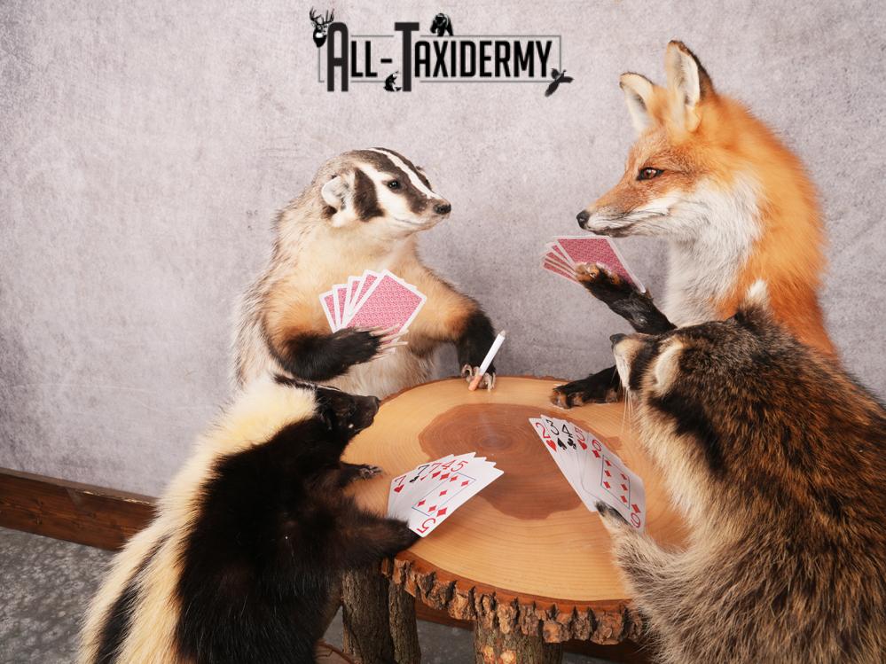 4 Animals Playing Poker SKU 3438 - Image 9