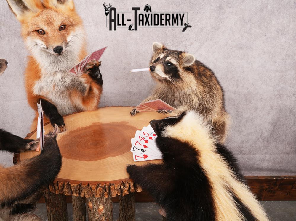 4 Animals Playing Poker SKU 3438 - Image 8