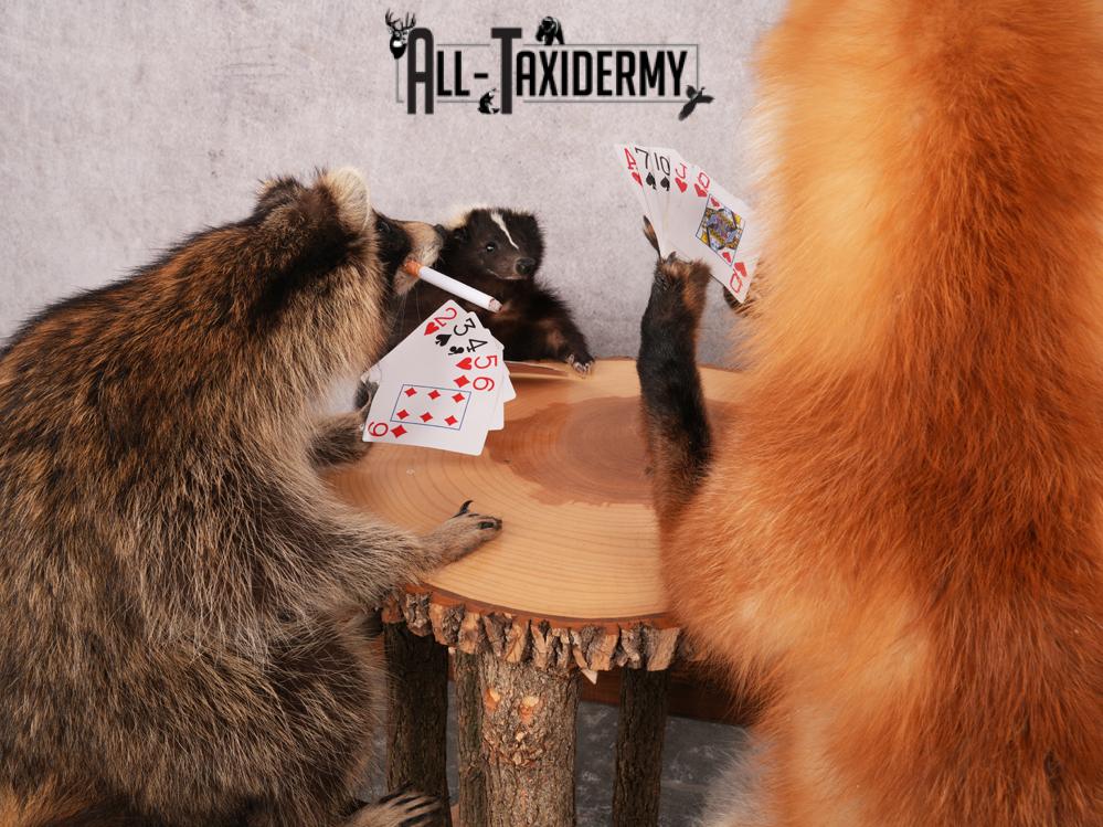 4 Animals Playing Poker SKU 3438 - Image 6