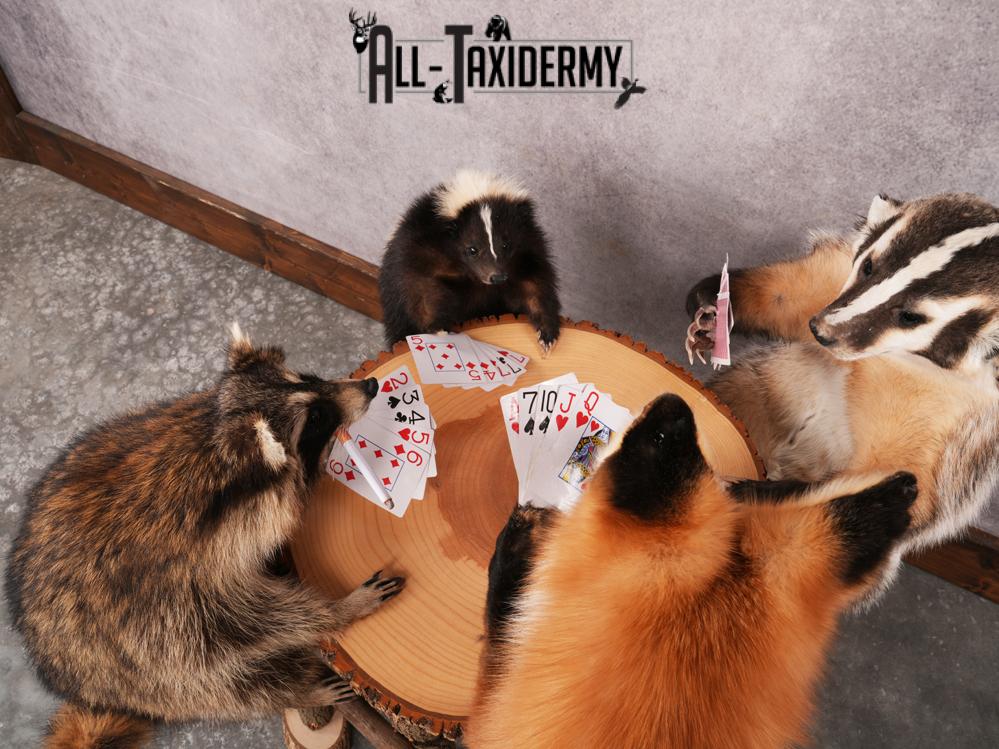 4 Animals Playing Poker SKU 3438 - Image 4