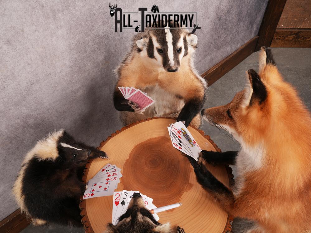 4 Animals Playing Poker SKU 3438 - Image 3