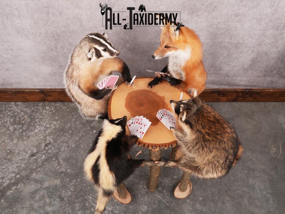 4 Animals Playing Poker SKU 3438 - Image 2