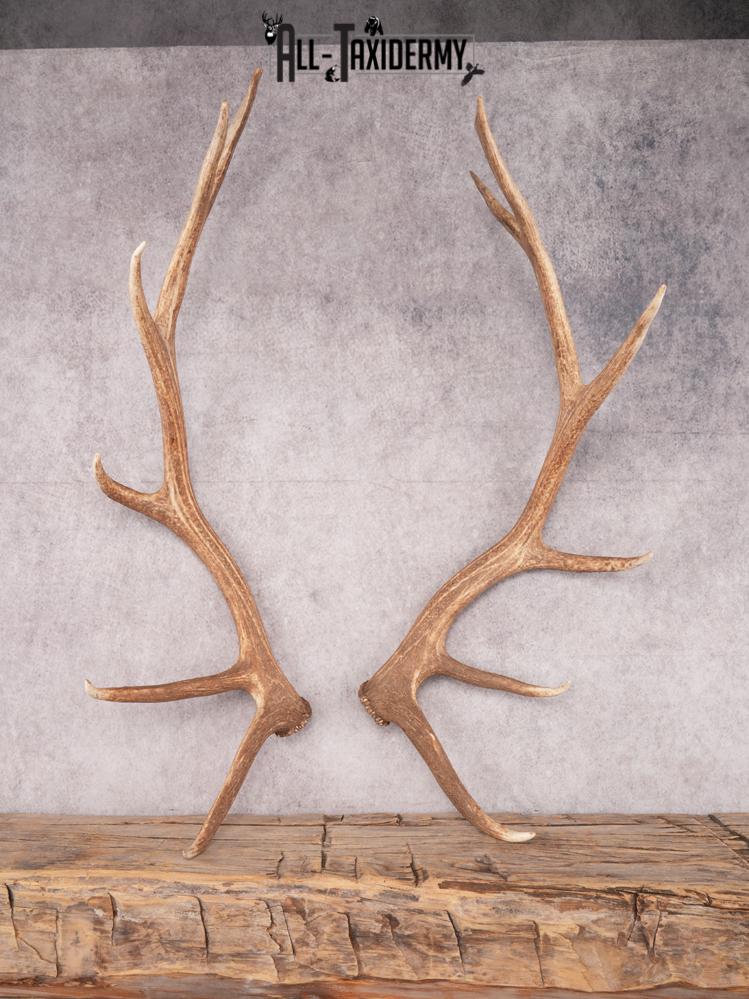 SKU 3420 Matching Elk Sheds 6x7