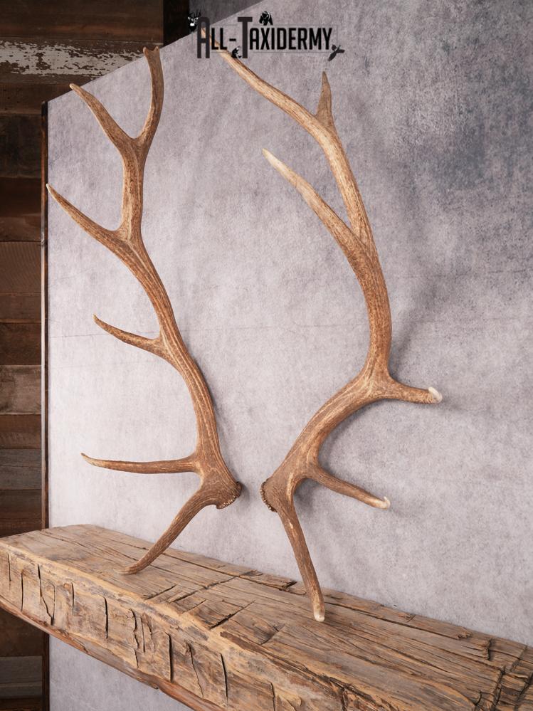 SKU 3420 Matching Elk Sheds 6x7 - Image 7