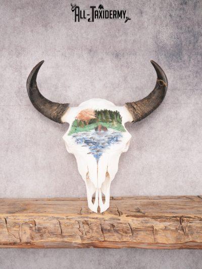 Painted Bison Skull SKU 3483