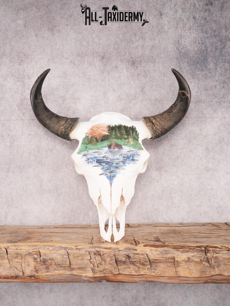 Painted Bison Skull SKU 3483