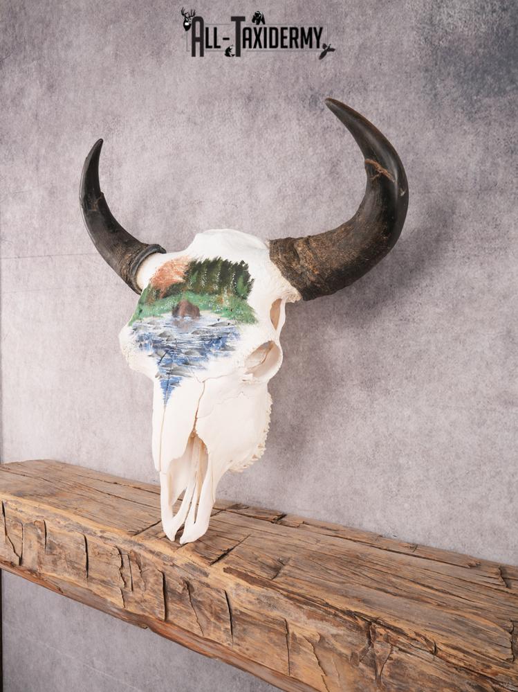 Painted Bison Skull SKU 3483 - Image 7