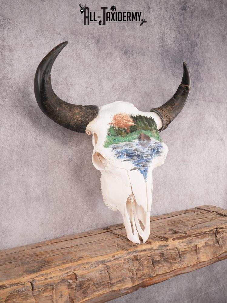 Painted Bison Skull SKU 3483 - Image 6