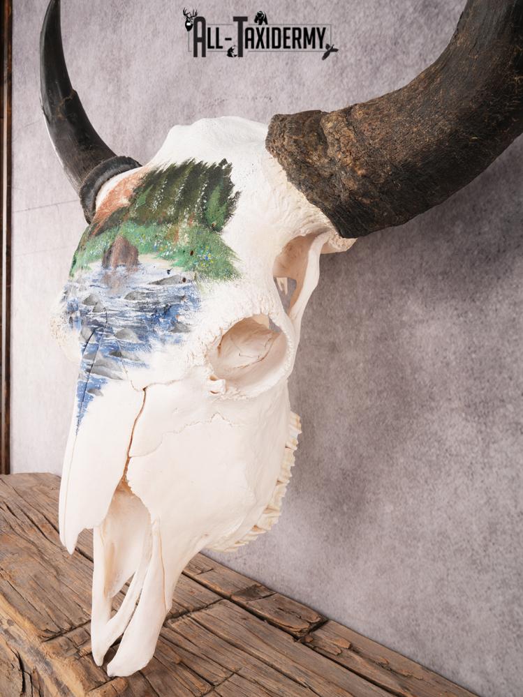 Painted Bison Skull SKU 3483 - Image 3