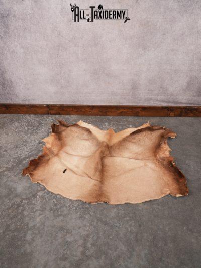 Elk Hide SKU 3380