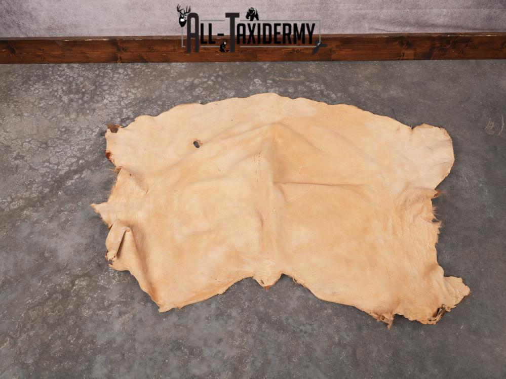 Elk Hide SKU 3380 - Image 4
