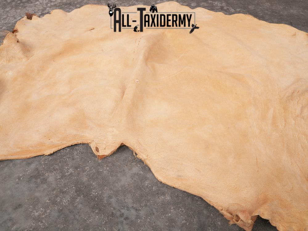 Elk Hide SKU 3380 - Image 3