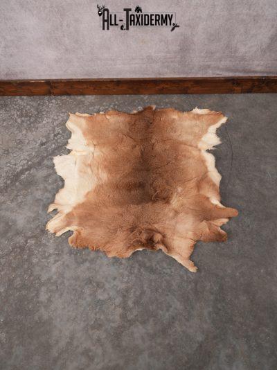 Whitetail Deer Hide SKU 3379