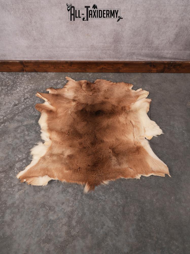 Whitetail Deer Hide SKU 3379 - Image 3