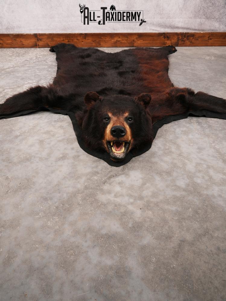 Bear Rug SKU 3322 - Image 11