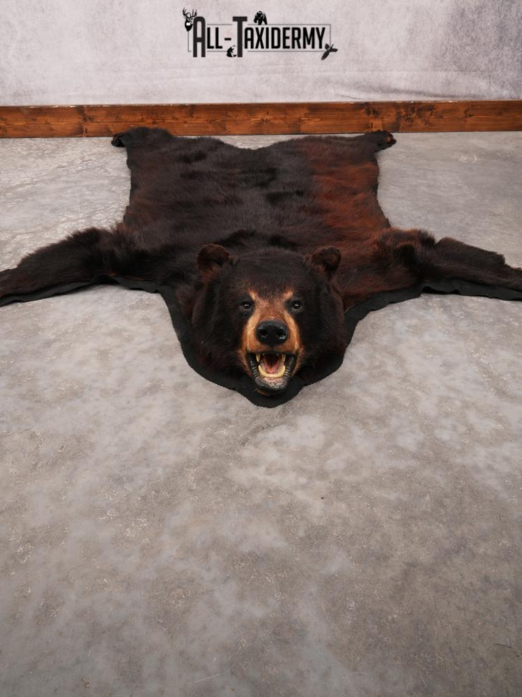 Bear Rug SKU 3322 - Image 10