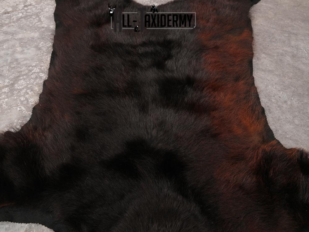 Bear Rug SKU 3322 - Image 3