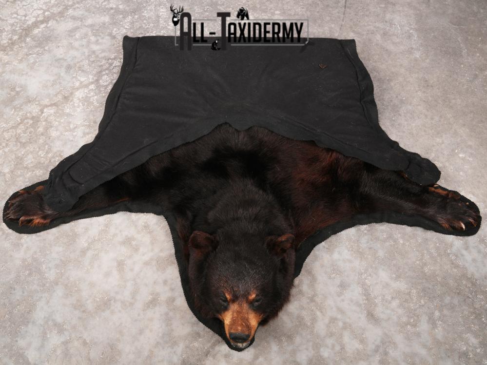 Bear Rug SKU 3322 - Image 2