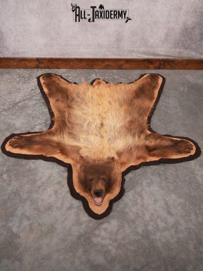 Blonde Phase Bear Rug SKU 3448