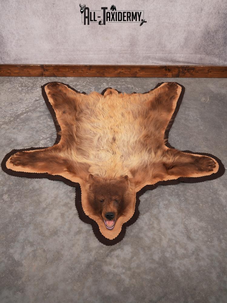 Blonde Phase Bear Rug SKU 3448