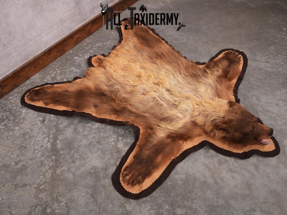 Blonde Phase Bear Rug SKU 3448 - Image 7