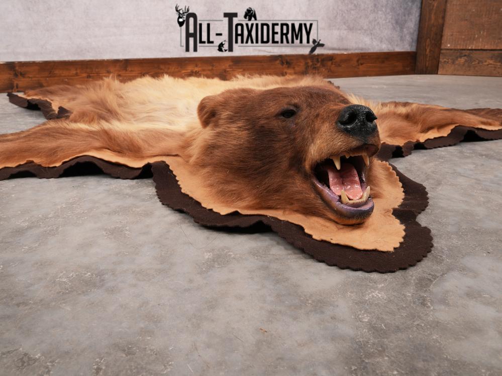 Blonde Phase Bear Rug SKU 3448 - Image 6